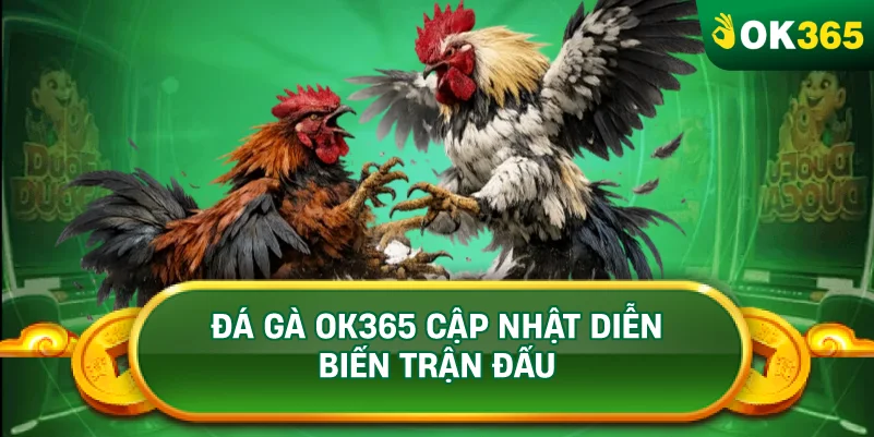 ĐÁ GÀ OK365 CẬP NHẬT DIỄN BIẾN TRẬN ĐẤU